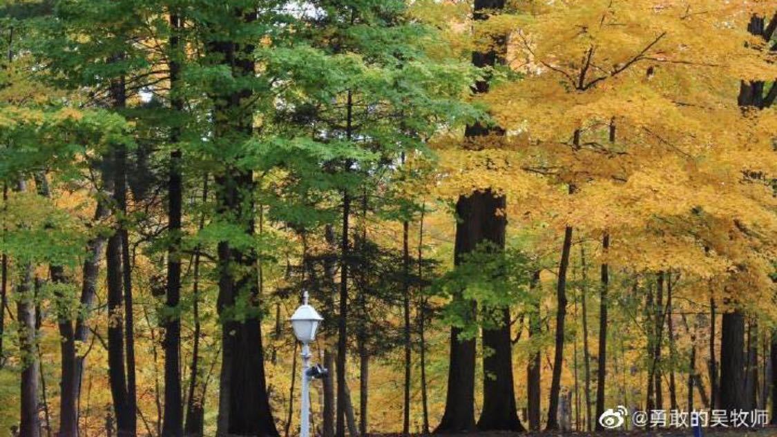 快手热门24小时自助下单平台：短视频营销新趋势与电商连接